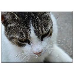 Triple Blank Wall Plate Cover - Cat Kitten Domestic Cat Pets White-Grey Cat Tabby