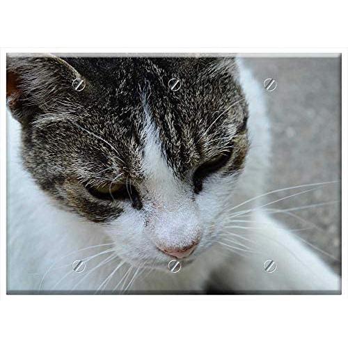 Triple Blank Wall Plate Cover - Cat Kitten Domestic Cat Pets White-Grey Cat Tabby