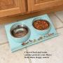 Pet Fit For Life Double Cat Dog Bowl Pet Feeding Station Stainless Steel No Spill Food and Water Bowls for Cats Kittens Small Dogs and Puppies