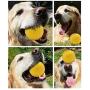 Vivifying Dog Ball on a Rope, 2 Pack Natural Interactive Rubber Ball for Fetch, Catch, Throw and Tug of War
