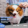 Premium Dog Comb for Easily Removes Tangles and Knots. Cat Comb for Removing Matted Fur. Best double-sided stainless steel Pet Grooming Tool, available in 2 different sizes, for Short or Long Hair.