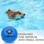 SCENEREAL Floatable Dog Rubber Ball 12 Packs - Floating Fetch Toy - Pet Racquetball 3 Pure Colors Safe Non-Toxic Training Toy for Dogs, High Elastic and Floating on Water, 1.77 Inch in Diameter SCENEREAL Floatable Dog Rubber Ball 12 Packs - Floating Fetch Toy - Pet Racquetball 3 Pure Colors Safe Non-Toxic Training Toy for Dogs, High Elastic and Floating on Water, 1.77 Inch in Diameter