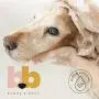 Buddys Best, Natural Dog Shampoo and Conditioner in One - Hypoallergenic, Oatmeal Shampoo for Dogs with Sensitive Skin - Moisturizing Dog Wash Buddys Best, Natural Dog Shampoo and Conditioner in One - Hypoallergenic, Oatmeal Shampoo for Dogs with Sensitive Skin - Moisturizing Dog Wash