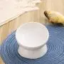 LIONWEI LIONWELI Ceramic Small Elevated Cat Dog Bowl Raised Cat Food Water Bowl Dish no Spill Pet Comfort Feeding Bowls LIONWEI LIONWELI Ceramic Small Elevated Cat Dog Bowl Raised Cat Food Water Bowl Dish no Spill Pet Comfort Feeding Bowls