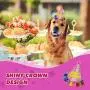 KOOLTAIL Dog Birthday Bandana with Hat&Toy Set - Squeaky Cake Chew Toy Cone Crown Triangle Scarf Pink Style for Dogs Birthday Party Outfit Supplies Suitable for Small Medium Dog Puppy