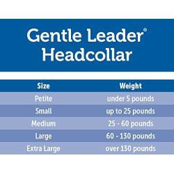 PetSafe Chic Gentle Leader Headcollar, No-Pull Dog Collar – Perfect for Leash & Harness Training – Stops Pets from Pulling and Choking on Walks – Works with Small, Medium and Large Dogs