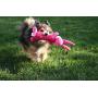 Smart Pet Love - Tender Tuffs - Shaggy Pink Rabbit - Tough Dog Toy - Play Fetch or Tug-of-war - Proprietary TearBlok Technology - Puncture Proof Squeaker