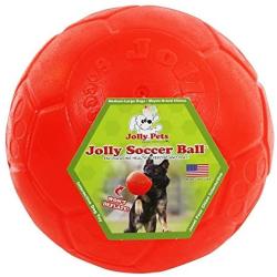 Jolly Pets Jolly Soccer Ball Dog Toy 8in