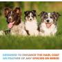 Panagenics | Pet Shampoo and Leave-in Conditioner Combination Set (16 Ounce Bottles) - Safe for All Animals, Unscented, Contains Citrus and Aloe
