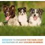 Panagenics | Pet Shampoo and Leave-in Conditioner Combination Set (16 Ounce Bottles) - Safe for All Animals, Unscented, Contains Citrus and Aloe