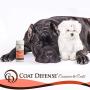COAT DEFENSE Canine Daily Preventative Powder - 6 Oz Waterless Dog & Cat Dry Shampoo & Pet Deodorizer, Provides Itchy Skin Relief, Wound Care for Dogs & Dog Odor Removal