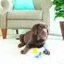 JW Puppy Connects Crinkle Ball Replacement JW Puppy Connects Crinkle Ball Replacement