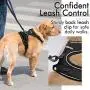 rabbitgoo Dog Harness, No-Pull Pet Harness with 2 Leash Clips, Adjustable Soft Padded Dog Vest, Reflective No-Choke Pet Oxford Vest with Easy Control Handle for Small Dogs, Black, S rabbitgoo Dog Harness, No-Pull Pet Harness with 2 Leash Clips, Adjustable Soft Padded Dog Vest, Reflective No-Choke Pet Oxford Vest with Easy Control Handle for Small Dogs, Black, S