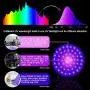 Flashlight BlackLight, 3-in-1 51 LED 365nM 380nM 395nM Blacklight Ultraviolet Flashlight for Pet Stains, Handheld Blacklight for Scorpion