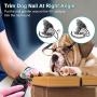 ilandFairy Dog Nail Grinder, Dog Nail Trimmer Pet Nail Grinder Painless Trimmer Two Speeds Rechargeable Portable Trimmer Grooming Tool for Dogs & Cats