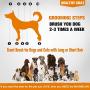 Premium Handmade Pet Double Sided Pin & Bristle Grooming Beechwood Brush for Dogs & Cats with Short or Long Hair, Effortlessly Remove Loose Hair Plus Stimulate Skin While Creating a Soft Coat Shine.