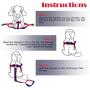 Zelten Dog Leash Harness Adjustable & Durable Leash Set & Heavy Duty Reflector Dog Leash Collar for Small, Medium and Large Dog, Perfect for Daily Training Walking Running (L, Green)