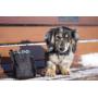 Rc Pet Products Dog Snack Caddie