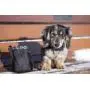 Rc Pet Products Dog Snack Caddie Rc Pet Products Dog Snack Caddie