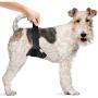 Vets Best Washable Male Dog Diapers | Absorbent Male Wraps with Leak Protection | Excitable Urination, Incontinence, or Male Marking | Small/Medium | 1 Reusable Dog Diaper Per Pack