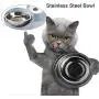 HappyCat Small Pets Water and Food Bowl Set, Dogs Cats Feeder Bowl and Automatic Water Dispenser Double Pet Bowls with Automatic Waterer Bottle for Small or Medium Size Dogs Cats