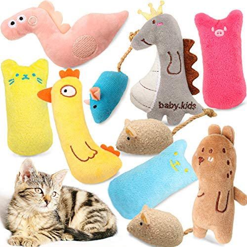 Zhanmai 10 Pieces Plush Cat Chew Toys Catnip Cat Toys Interactive Cat Catnip Toys Cute Entertaining Toys for Cat Pet Kitten Indoor Playing Teeth Cleaning Claw Grinding