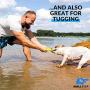 2-in-1 Floating Dog Fetch Toy & Bite Tug - Tough, Interactive Throw Toys for Medium to Large Dogs - Perfect for Dock Diving, Training & Fetching - Fire Hose Dog Water Pool Toy - Easy to Spot & Pick-Up 2-in-1 Floating Dog Fetch Toy & Bite Tug - Tough, Interactive Throw Toys for Medium to Large Dogs - Perfect for Dock Diving, Training & Fetching - Fire Hose Dog Water Pool Toy - Easy to Spot & Pick-Up
