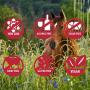 Siddha Remedies Calm Down for Pets | Natural Homeopathic Remedy Calms Dogs, Cats, Furry Pets | Naturally Calms Excitable, Restless Pets in Stormy Weather | Supports Stronger Health