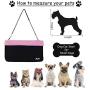 JESPET Dog Booster Seats for Cars, Portable Dog Car Seat Travel Carrier with Seat Belt for 24lbs Pets