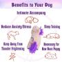 Lepawit Dog Plush Toy Heartbeat Toy Puppy Behavioral Training Aid Toy for Anxiety Relief, Newborn Puppies Sleep Aid Separation Anxiety, Cute Unicorn Accompany Plush Toy for Dogs