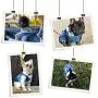 Pet Clothes Dog Jeans Jacket Cool Blue Denim Coat Small Medium Dogs Cats Lapel Vests Classic Puppy Blue Vintage Washed Clothes Hoodie Vest Pet Clothes Dog Jeans Jacket Cool Blue Denim Coat Small Medium Dogs Cats Lapel Vests Classic Puppy Blue Vintage Washed Clothes Hoodie Vest