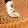 OUTFANDIA Cat Scratching Board,Cardboard with Catnip,Newest Foldable Convenient Magic Organ, Durable Recyclable,Best Cat Scratcher - Includes Catnip and Voice Ball