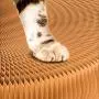 OUTFANDIA Cat Scratching Board,Cardboard with Catnip,Newest Foldable Convenient Magic Organ, Durable Recyclable,Best Cat Scratcher - Includes Catnip and Voice Ball