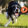 LEJGEQR Dog Chew Toys for Aggressive Chewers,Natural Rubber Dog Toys Large Breed Long Lasting Puppy Chew Toy Nearly Indestructible Dog Chew Toys for Small Medium Large Dog