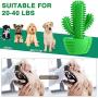 Dog Chew Squeaky Toothbrush Toys for Small Medium Pets Large Durable Entertaining Cleaning Treat Puppy Brush Dental Care