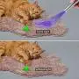 Sterling Endurance Cat Toys, Rechargeable, Cat Dog Exercise Toy