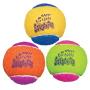 SqueakAir Birthday Ball Medium