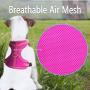 azuza Puppy Harness and Leash Set, Reflective Air Mesh Dog Vest Harness, All Weather Comfort Dog Harness for Small Dogs