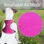 azuza Puppy Harness and Leash Set, Reflective Air Mesh Dog Vest Harness, All Weather Comfort Dog Harness for Small Dogs