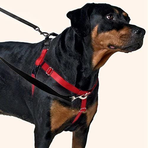 2 Hounds Design Freedom No-Pull Dog Harness Training Package with Leash, Medium (1'' Wide), Black