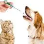 Nuanchu 4 Pack Pet Syringe Pet Pill Syringe Pet Piller Cat Pill Shooter Small Pills Pet Pill Dispenser Soft Tip Syringe Feeders for Cats Dogs Small Animals (Green) Nuanchu 4 Pack Pet Syringe Pet Pill Syringe Pet Piller Cat Pill Shooter Small Pills Pet Pill Dispenser Soft Tip Syringe Feeders for Cats Dogs Small Animals (Green)