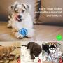 PetInn Dog Treat Toy Ball,Interactive Dog Toys for Pet Tooth Cleaning,Chewing, Fetching, IQ Training, Pack of 2