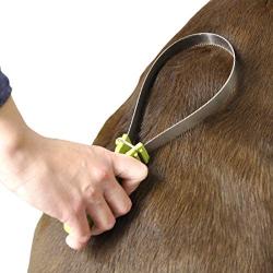Safari by Coastal Dual-Sided Shedding Blade with Stainless Steel Blade De-Shedding Tool for All Dog Coat Types