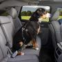 Kurgo Direct to seat belt Tether for Dogs, Car seat belt for Pets, Adjustable Dog Safety Belt Leash, Quick & Easy Installation, Works with Any Pet Harness, Carabiner, Swivel, Bungee