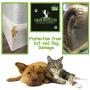 COUCH PROTECTOR - CAT Scratch Deterrent | Cat Repellent For Furniture | Couch Protector From Cats | Cat Couch Protector | Furniture Protector From Cats