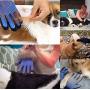 LHZTECH Upgrade Pet Grooming Glove - Efficient Deshedding Bathing Massage Hair Remover Gloves - Gentle Brush for Dogs, Cats, Rabbits and Horses (1 Pair)