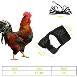 4 Pcs Adjustable Chicken Harness with Leash - 4 Styles Comfortable Hen Vest Breathable Mesh Chicken Training Harness and Leash for 2.5-3.6 Lb Duck Goose Hen Small Pets