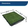 PetSafe Pet Loo Portable Indoor/Outdoor Dog Potty, Alternative to Puppy Pads, 3 Size Options for Small, Medium and Large Breeds PetSafe Pet Loo Portable Indoor/Outdoor Dog Potty, Alternative to Puppy Pads, 3 Size Options for Small, Medium and Large Breeds
