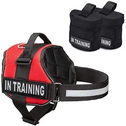 Industrial Puppy Service Dog in Training Vest with Hook and Loop Straps and Detachable Backpacks - Animal Vests from XXS to XXL - Service Dog Harness with Reflective Patch & Comfortable Mesh Design