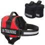 Industrial Puppy Service Dog in Training Vest with Hook and Loop Straps and Detachable Backpacks - Animal Vests from XXS to XXL - Service Dog Harness with Reflective Patch & Comfortable Mesh Design